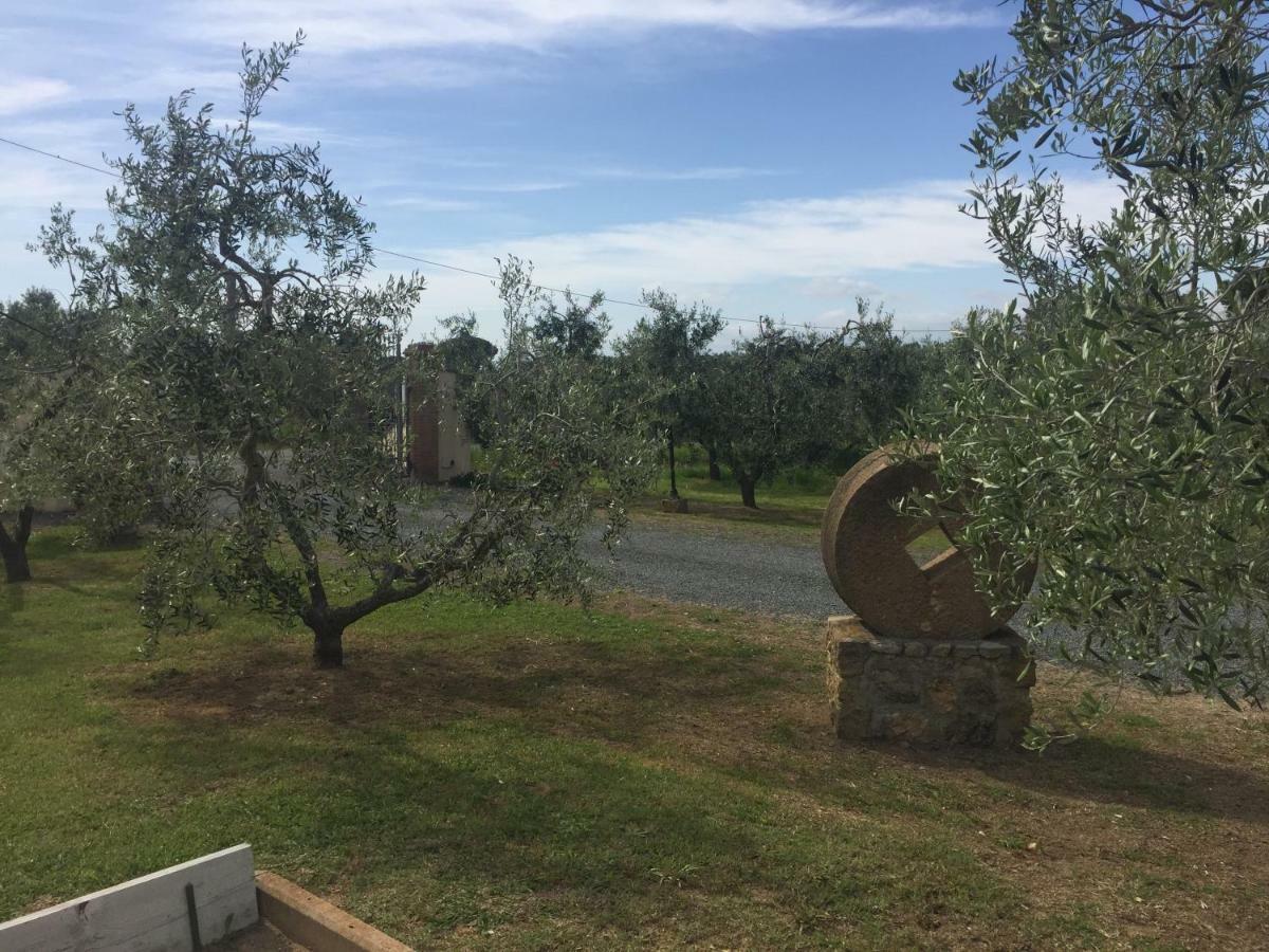 Le Macine Cecina (Livorno)