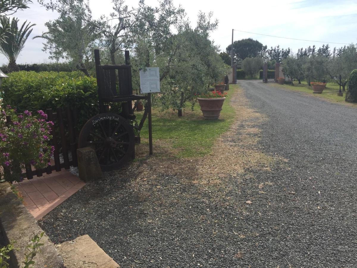Le Macine Holiday home Cecina (Livorno)