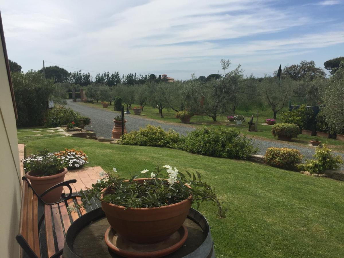 Holiday home Le Macine Cecina (Livorno)