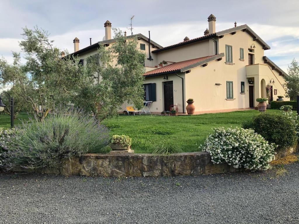 Le Macine Cecina (Livorno)